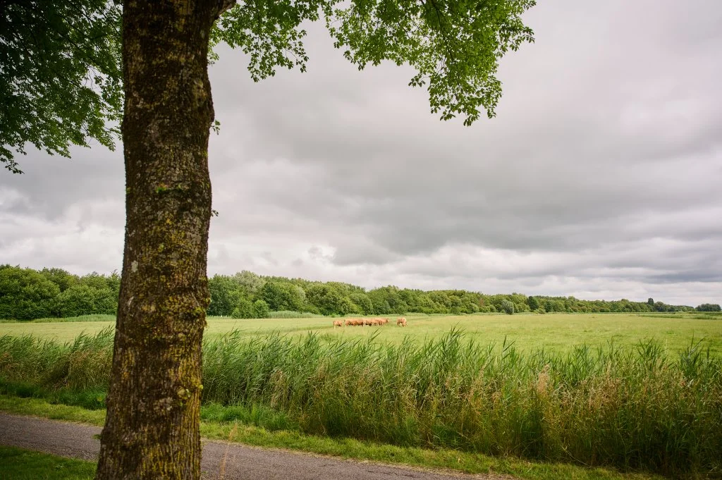geblurde versie van de foto als achtergrond