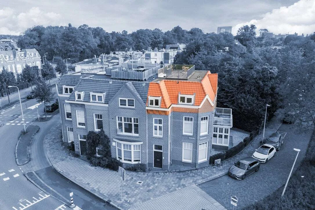 geblurde versie van de foto als achtergrond