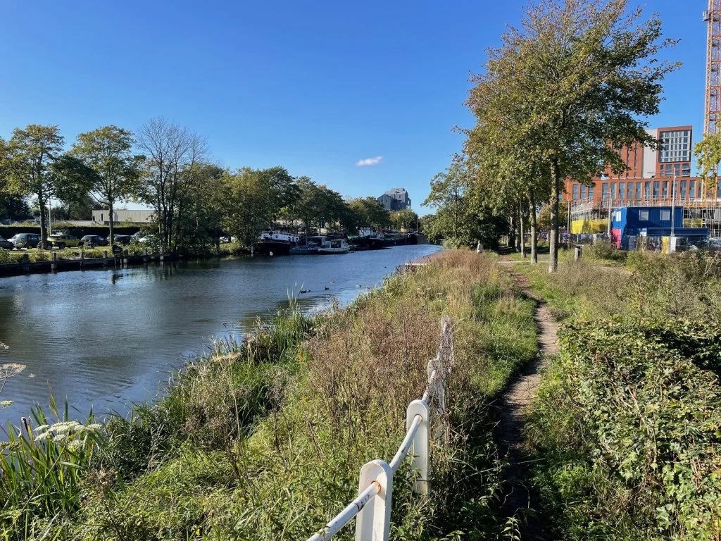 geblurde versie van de foto als achtergrond
