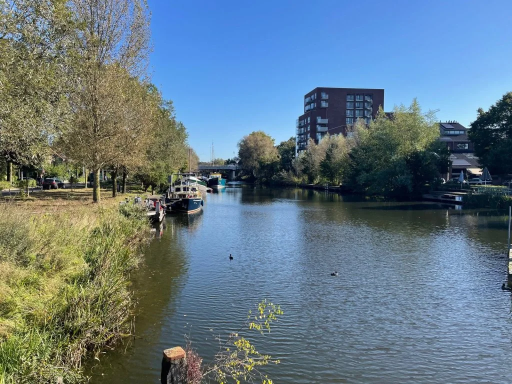 geblurde versie van de foto als achtergrond