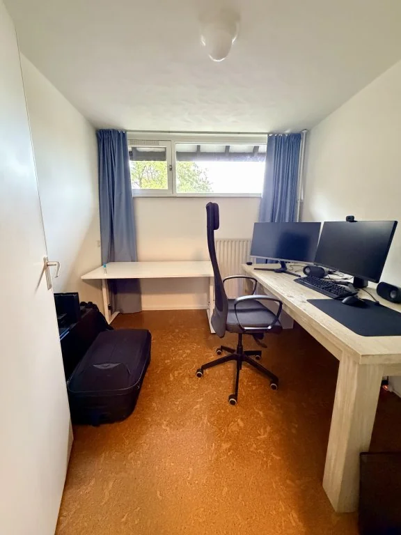 geblurde versie van de foto als achtergrond