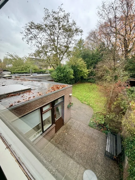 geblurde versie van de foto als achtergrond