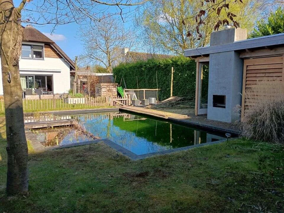 geblurde versie van de foto als achtergrond