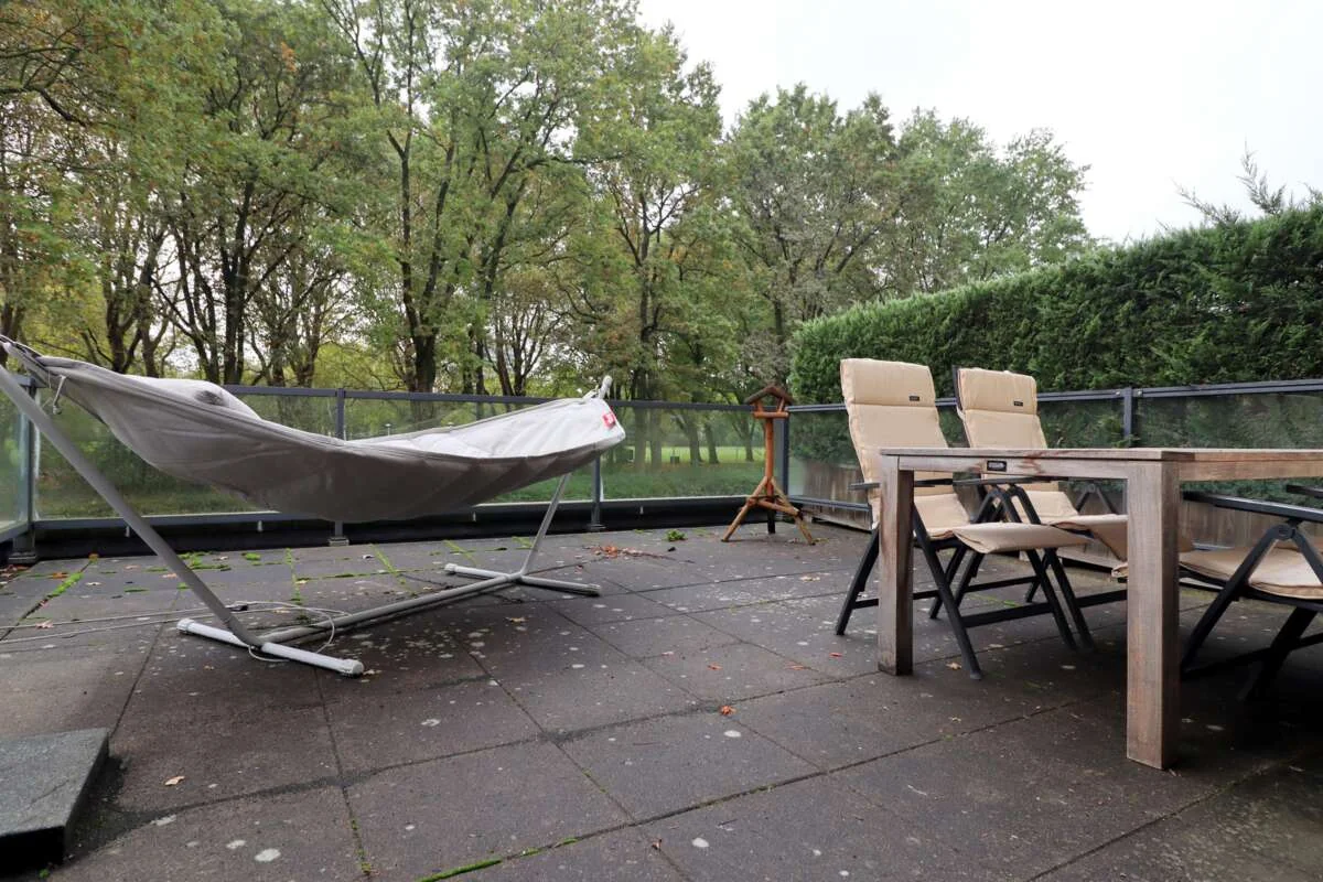 geblurde versie van de foto als achtergrond