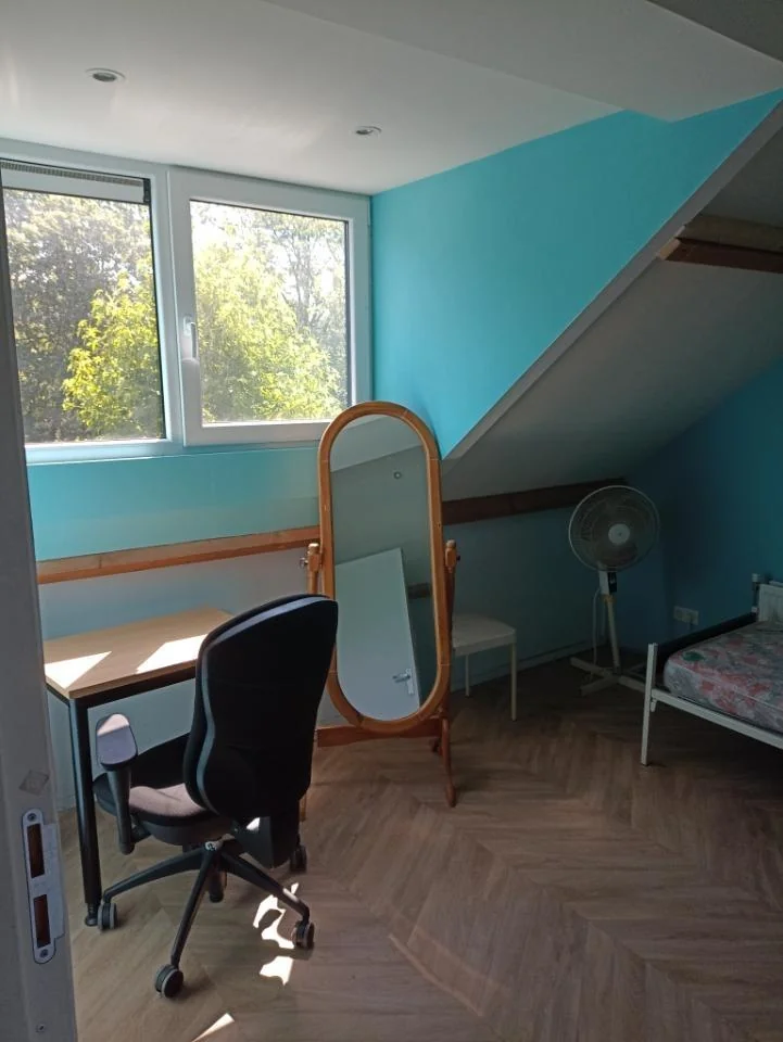 geblurde versie van de foto als achtergrond