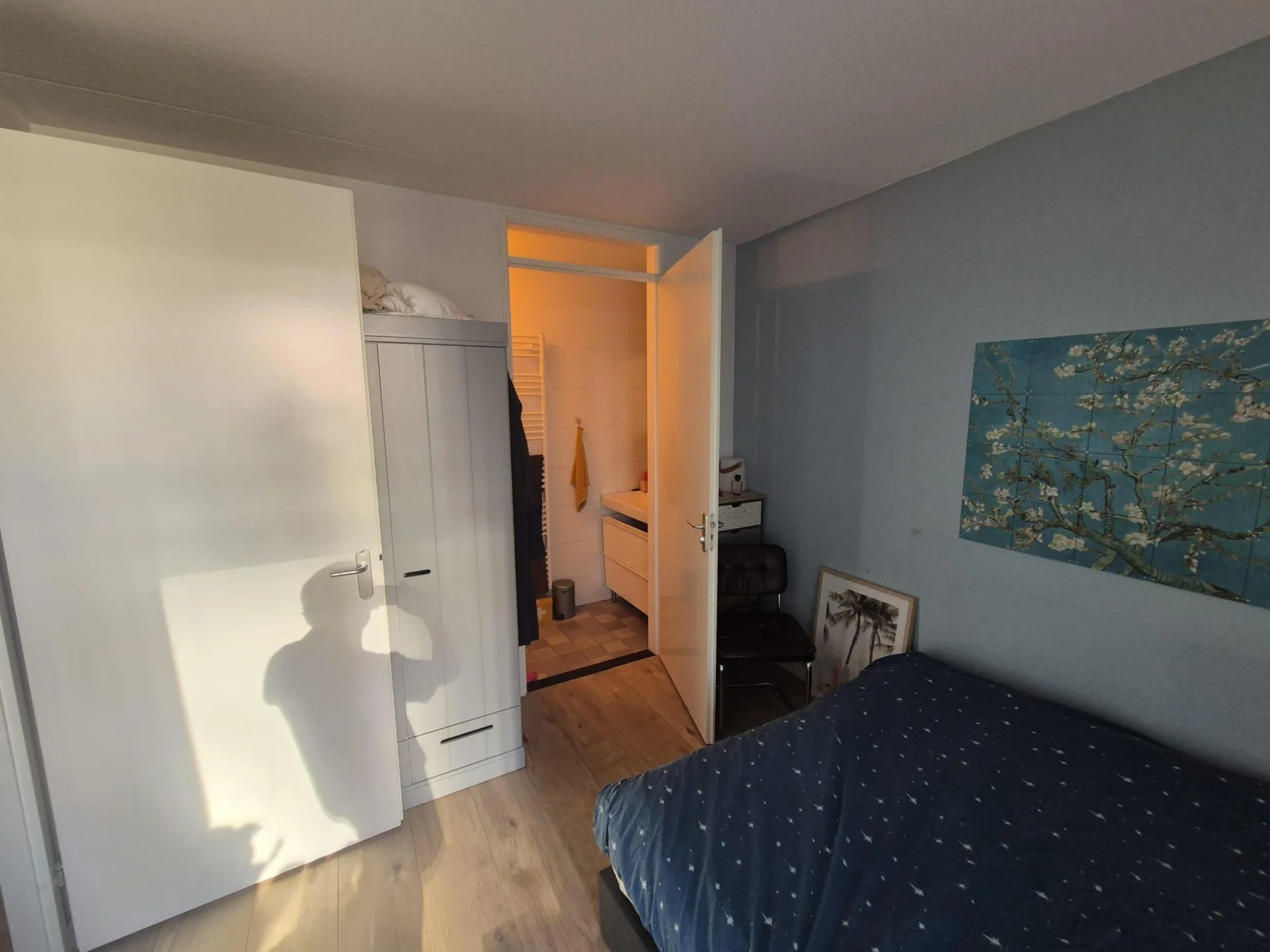 geblurde versie van de foto als achtergrond