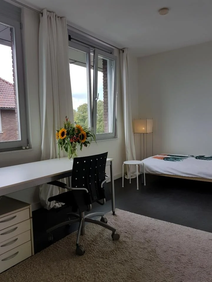 geblurde versie van de foto als achtergrond