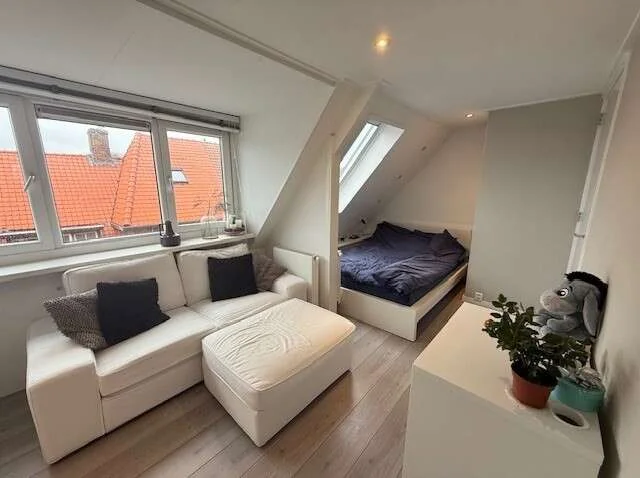 geblurde versie van de foto als achtergrond