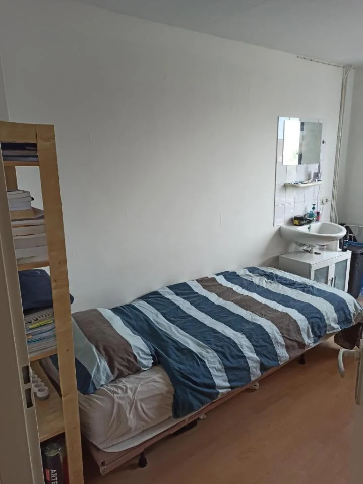 geblurde versie van de foto als achtergrond