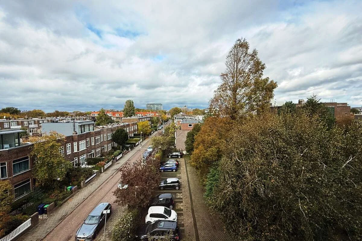 geblurde versie van de foto als achtergrond