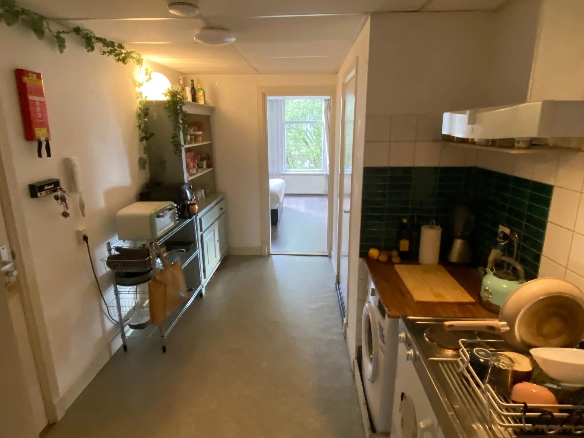 geblurde versie van de foto als achtergrond