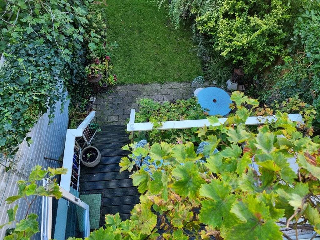 geblurde versie van de foto als achtergrond