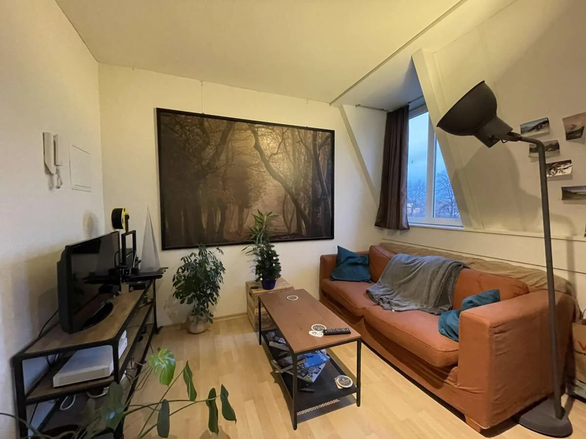 geblurde versie van de foto als achtergrond