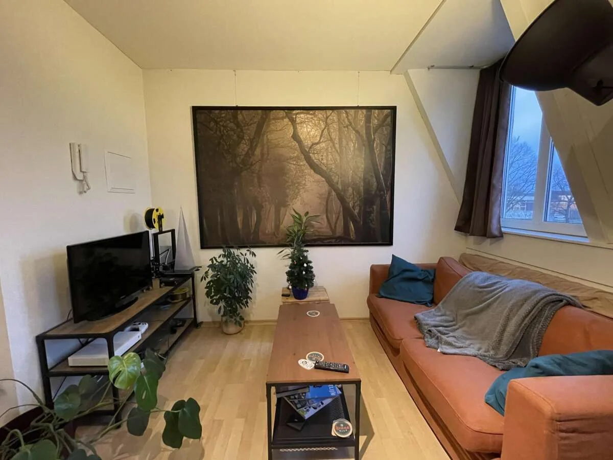 geblurde versie van de foto als achtergrond