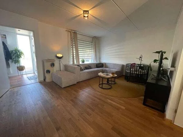 geblurde versie van de foto als achtergrond