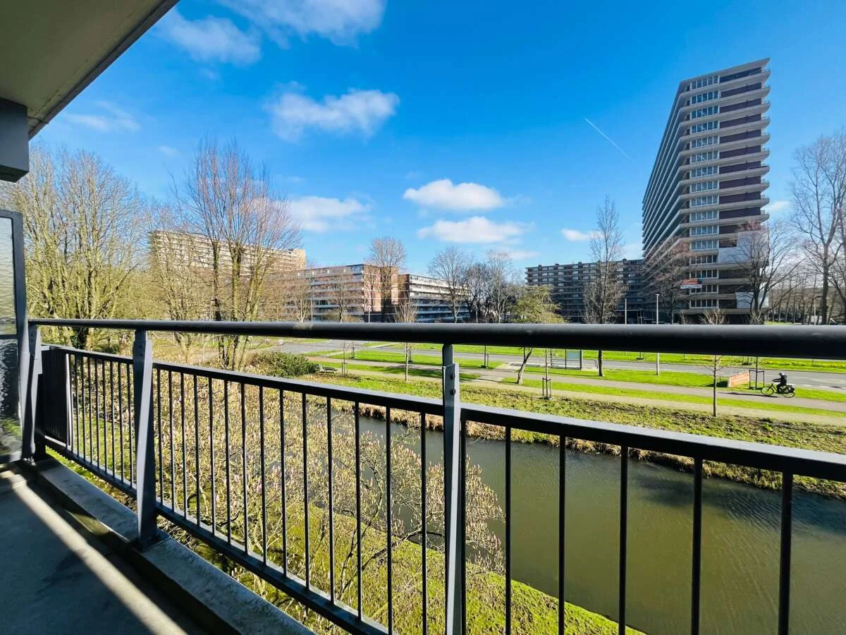 geblurde versie van de foto als achtergrond