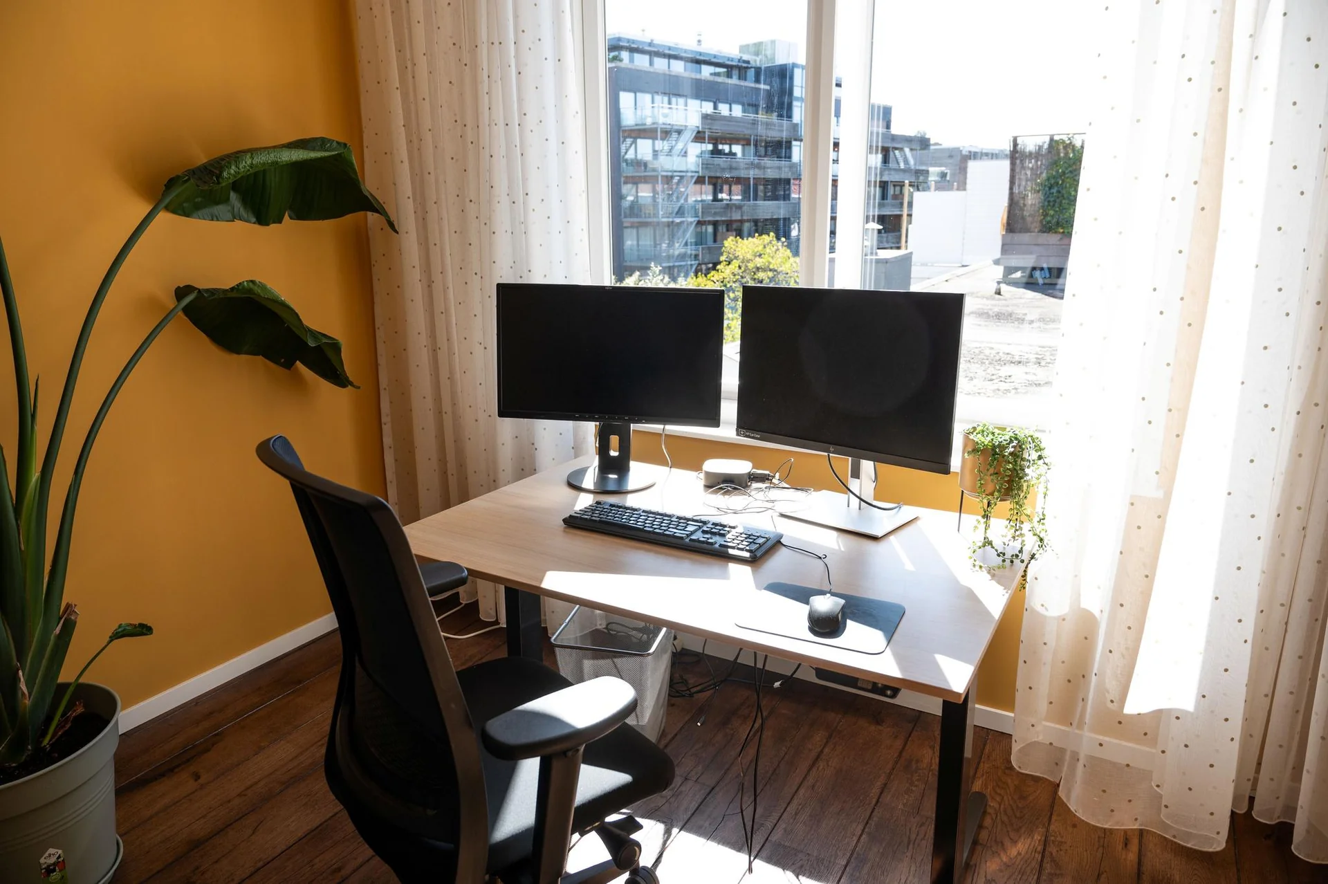 geblurde versie van de foto als achtergrond