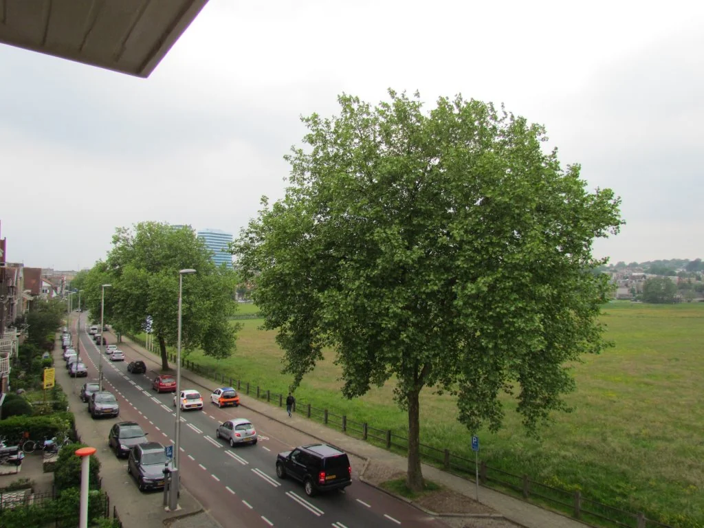 Foto van de Kamer gelegen aan de Sonsbeekweg in Arnhem