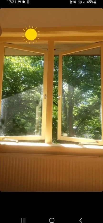 geblurde versie van de foto als achtergrond