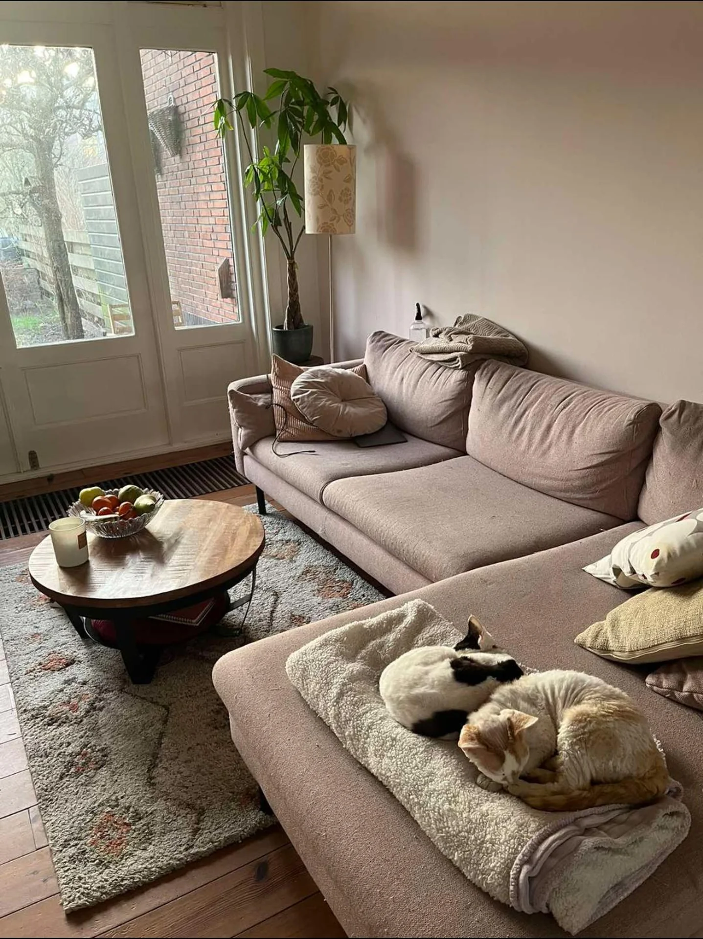 geblurde versie van de foto als achtergrond