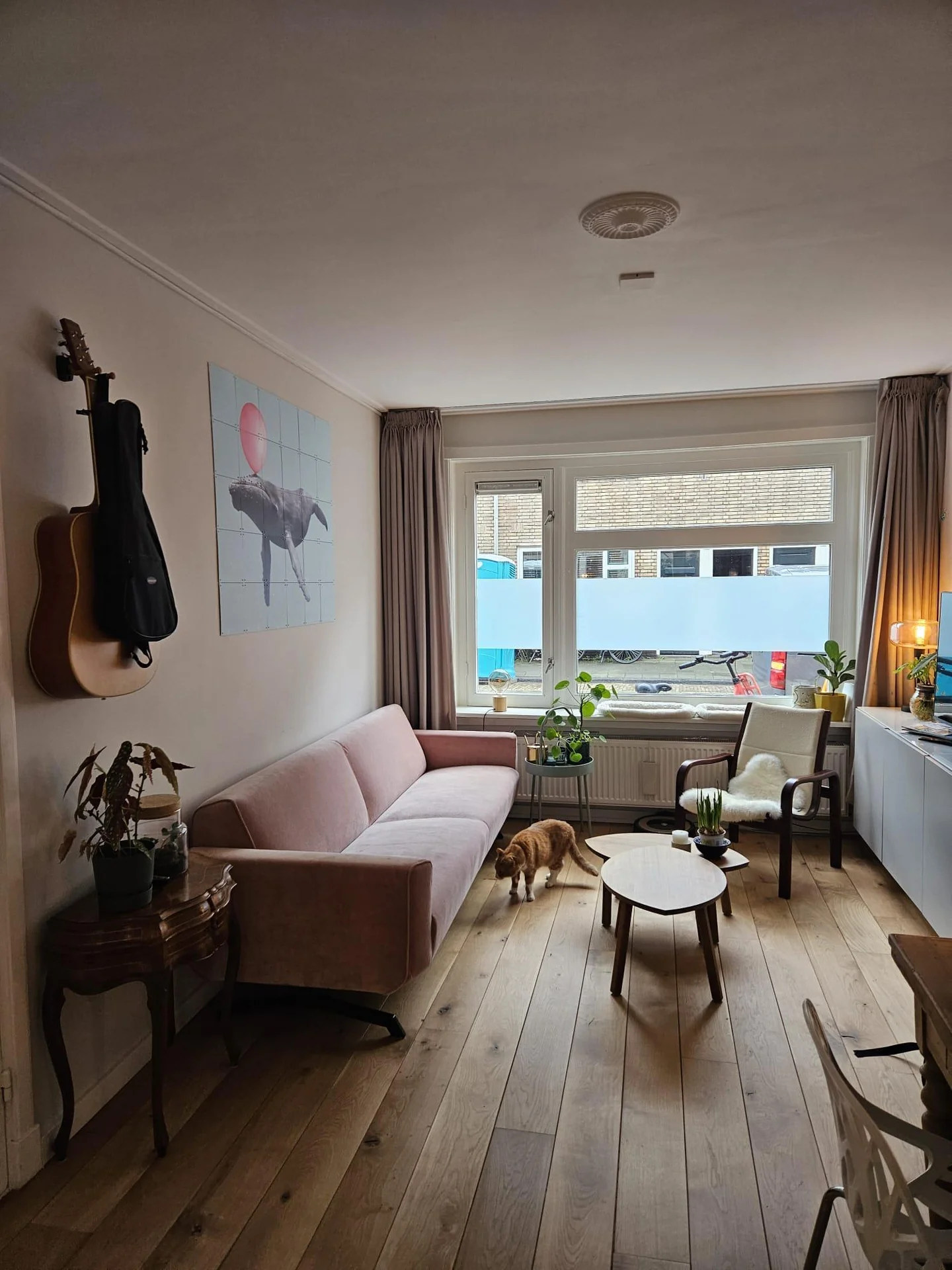 geblurde versie van de foto als achtergrond