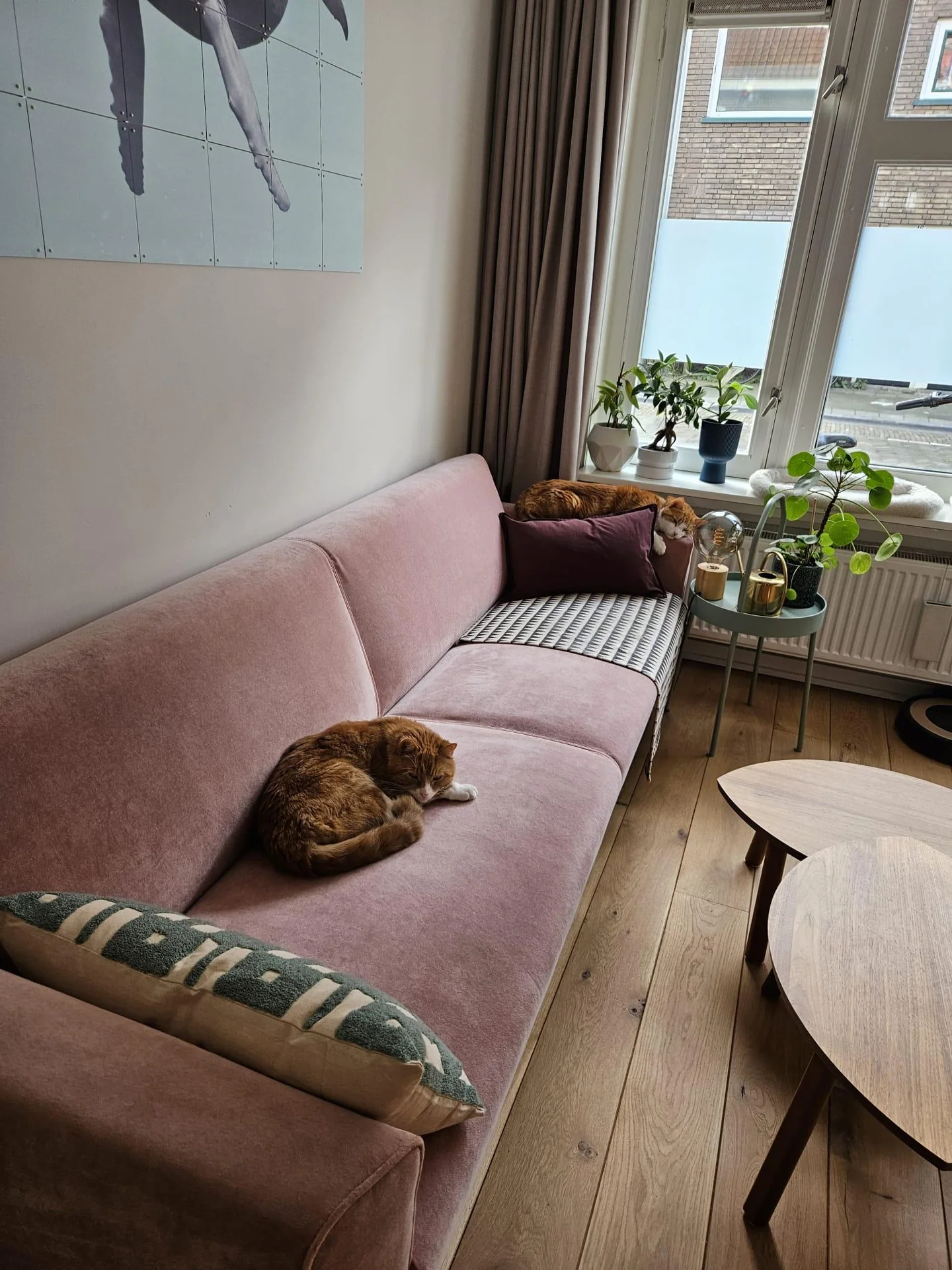 geblurde versie van de foto als achtergrond