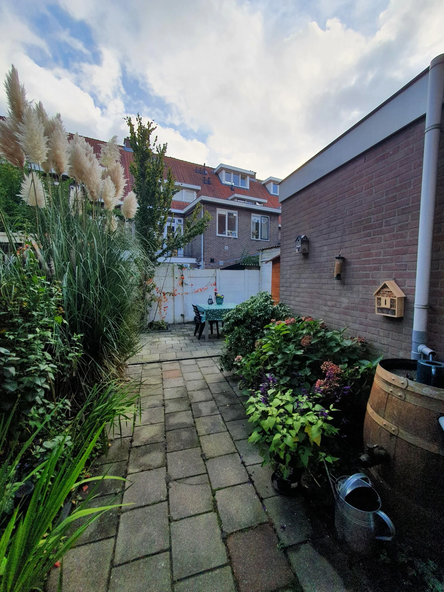 geblurde versie van de foto als achtergrond