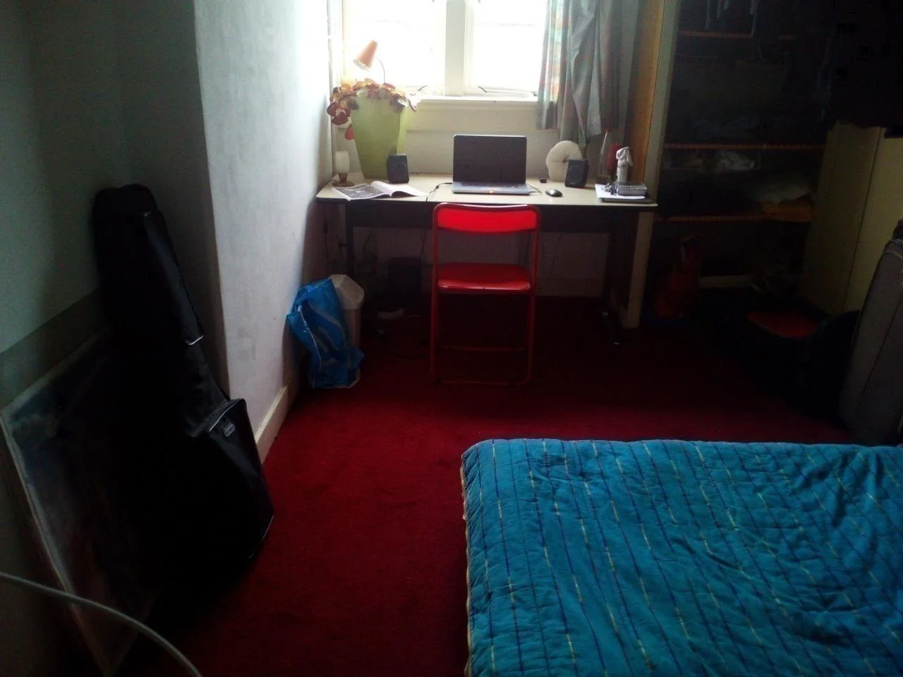 geblurde versie van de foto als achtergrond