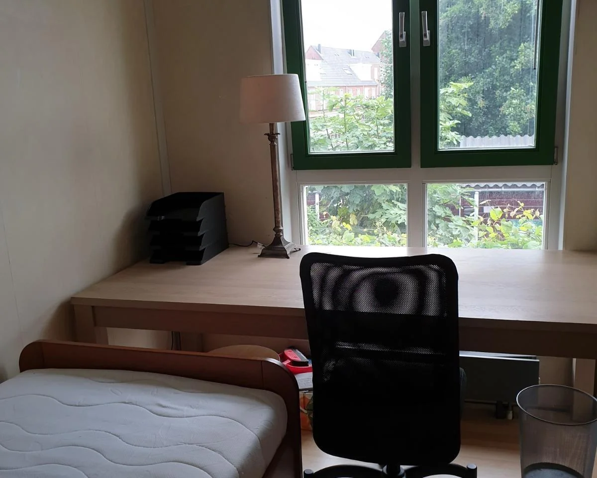 geblurde versie van de foto als achtergrond