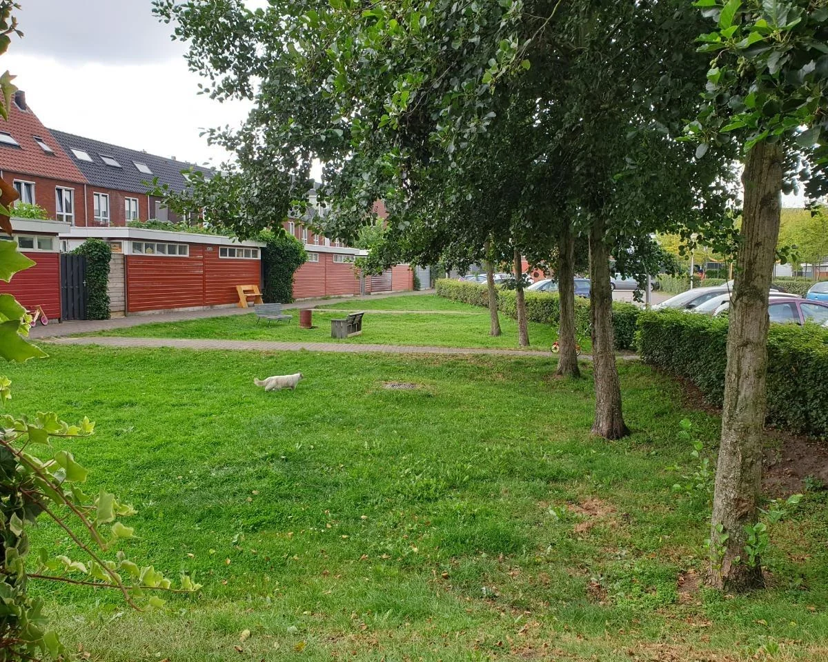 geblurde versie van de foto als achtergrond