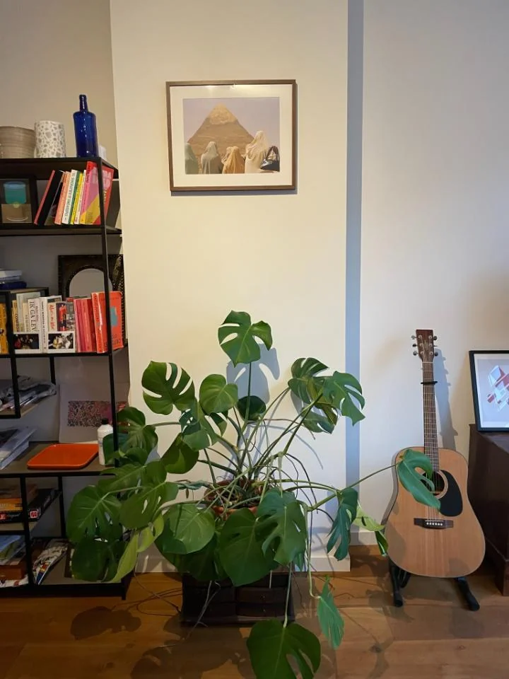 geblurde versie van de foto als achtergrond