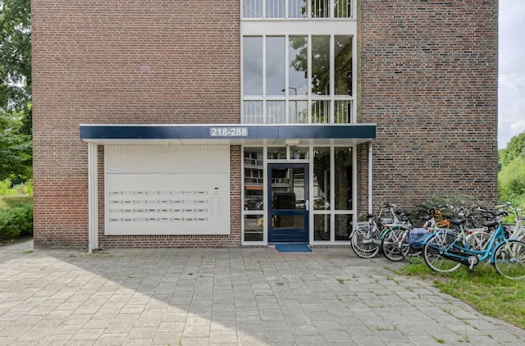 geblurde versie van de foto als achtergrond