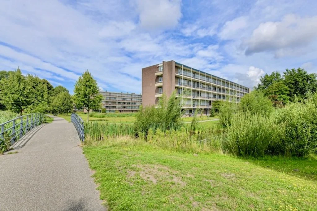 geblurde versie van de foto als achtergrond