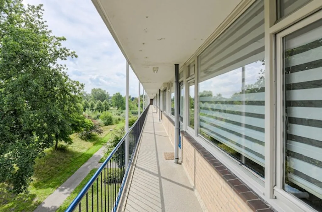 geblurde versie van de foto als achtergrond