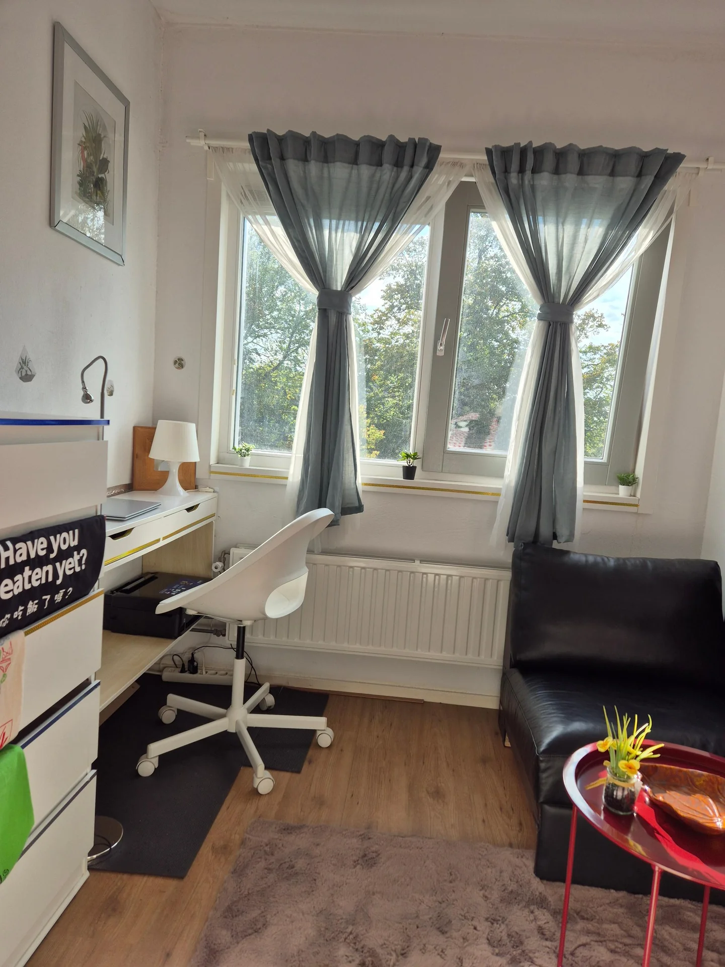 geblurde versie van de foto als achtergrond