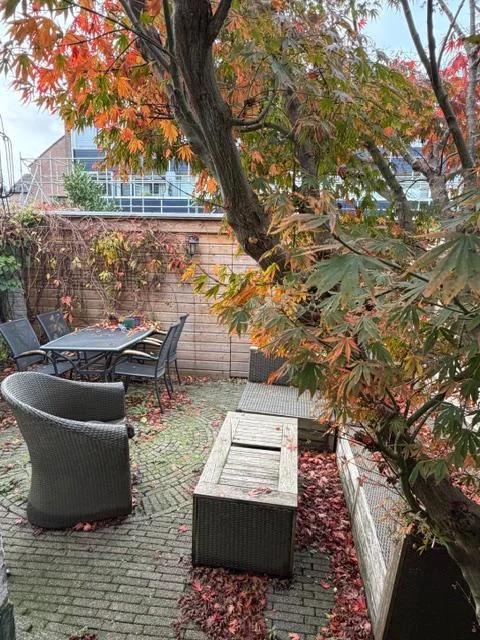 geblurde versie van de foto als achtergrond