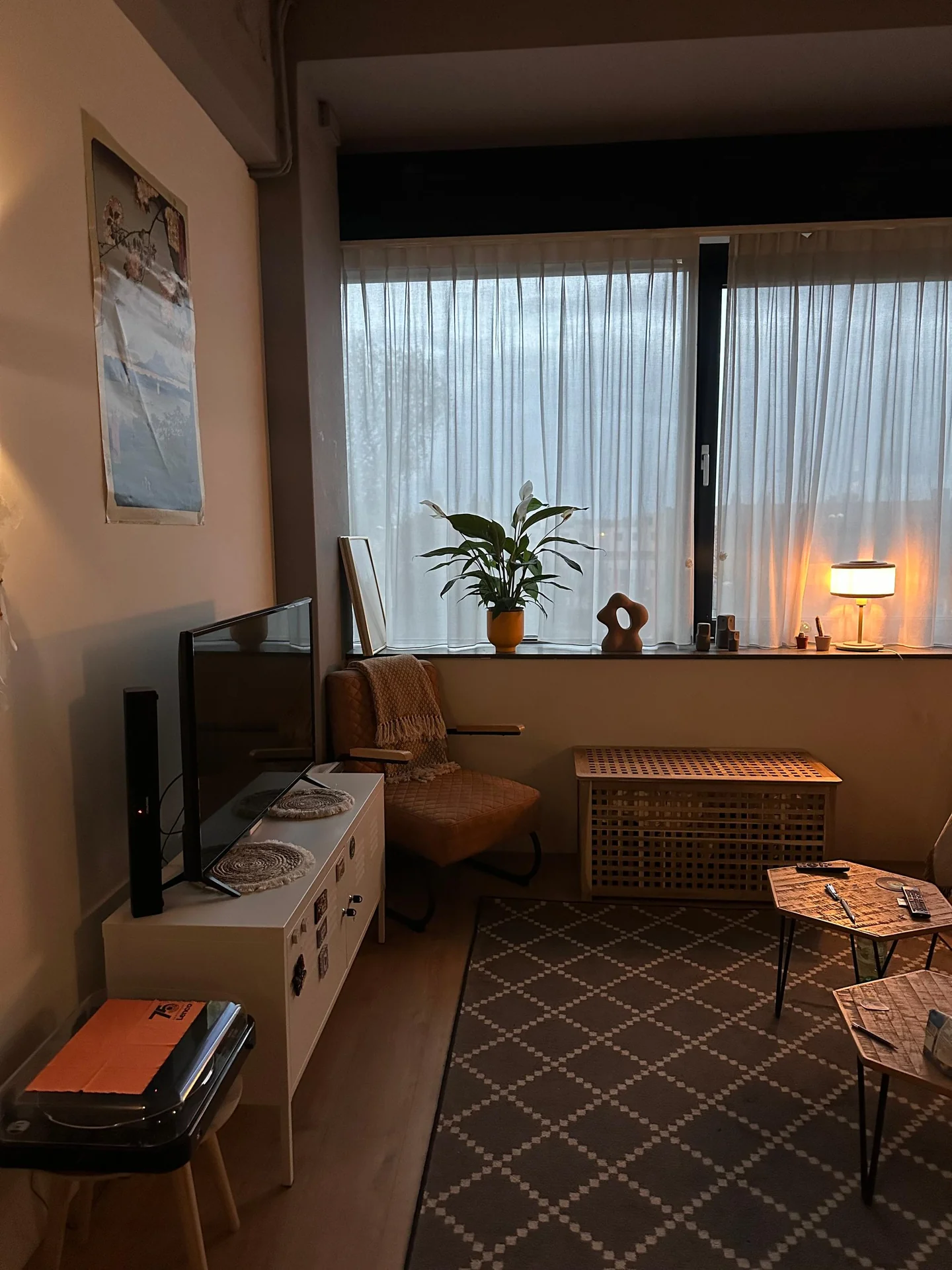 geblurde versie van de foto als achtergrond