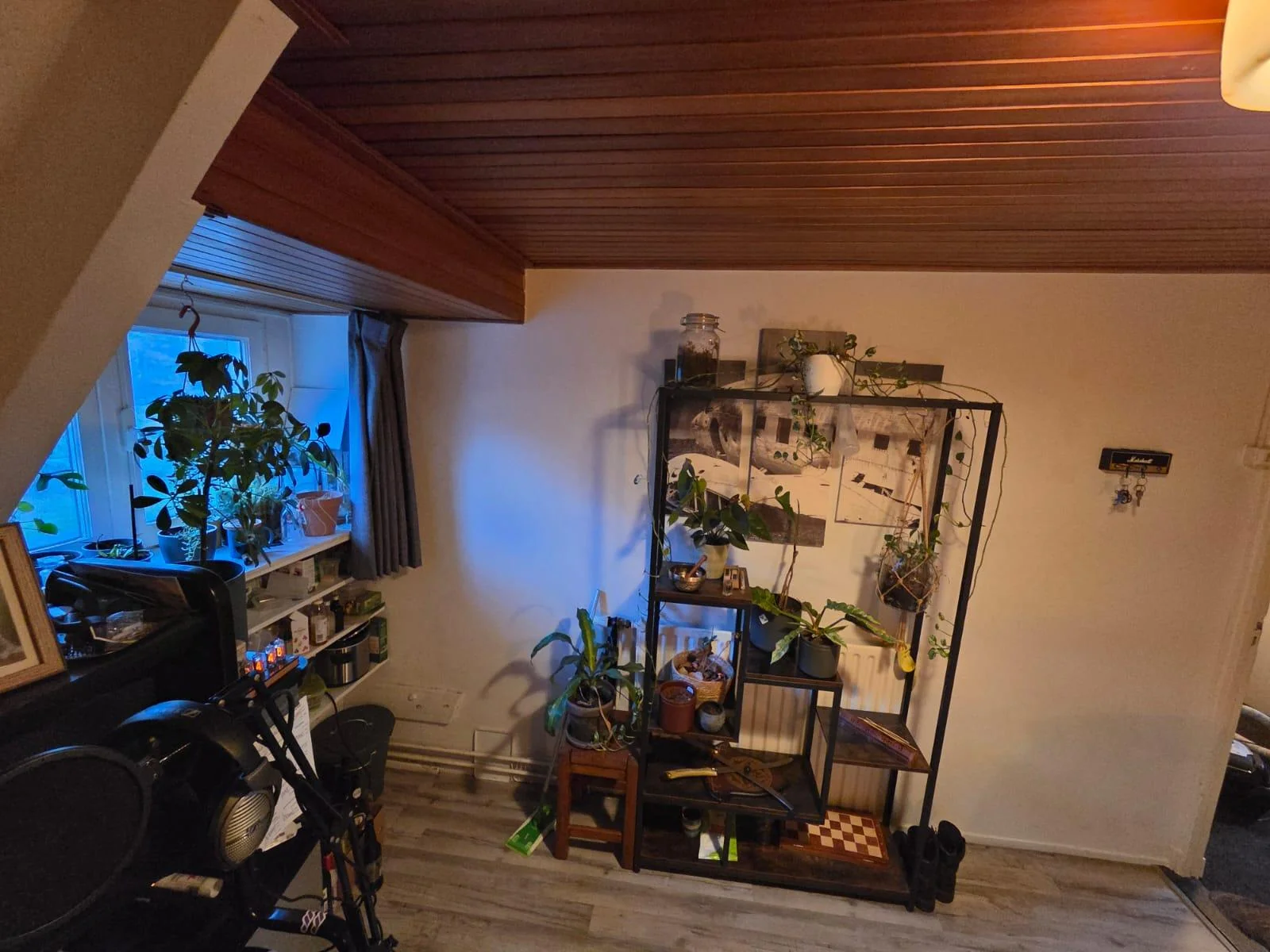 geblurde versie van de foto als achtergrond