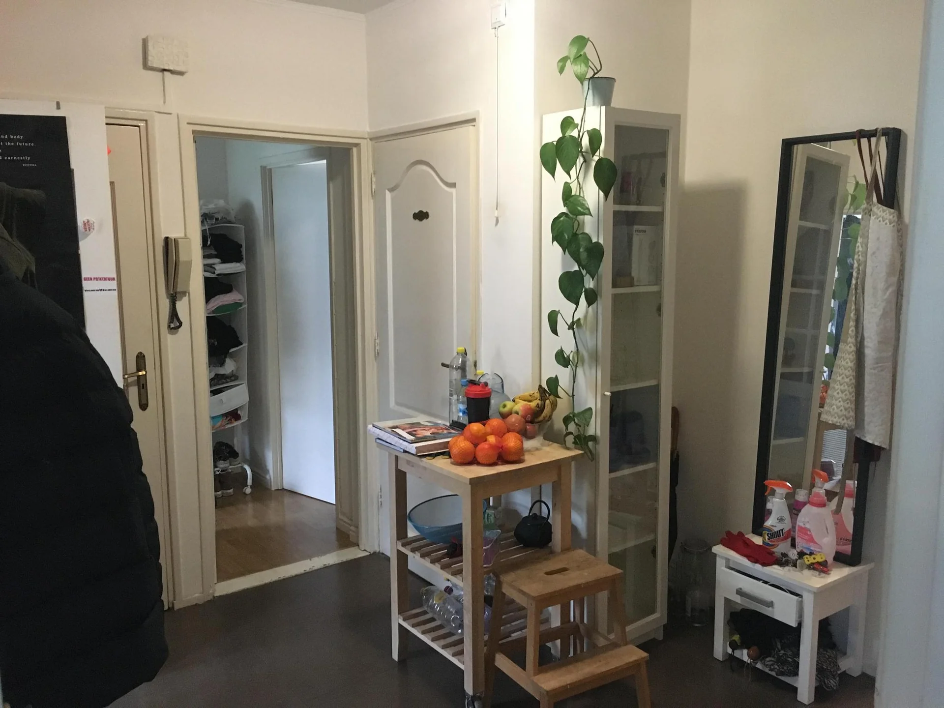 geblurde versie van de foto als achtergrond