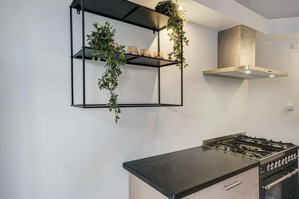 geblurde versie van de foto als achtergrond