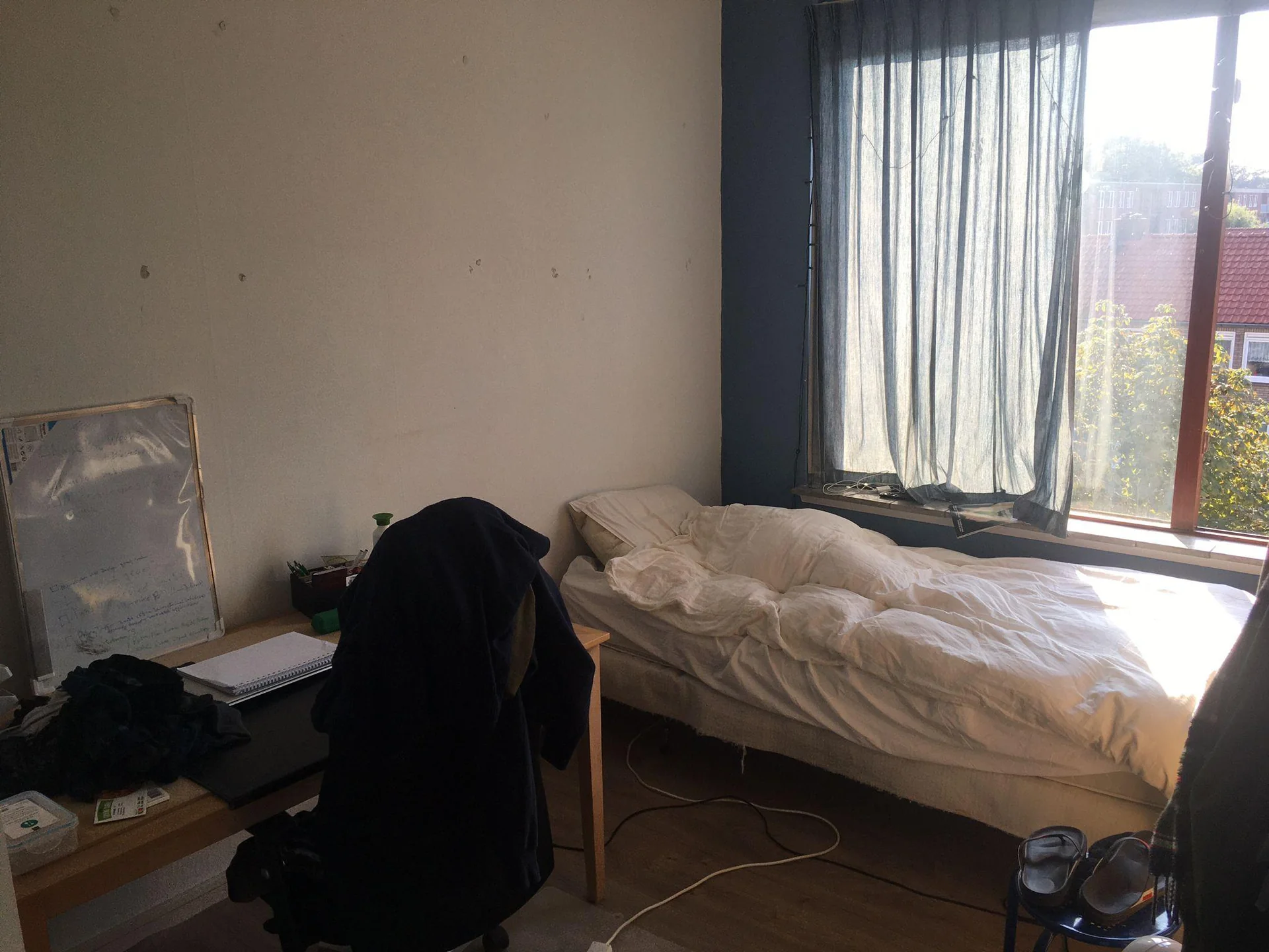 geblurde versie van de foto als achtergrond