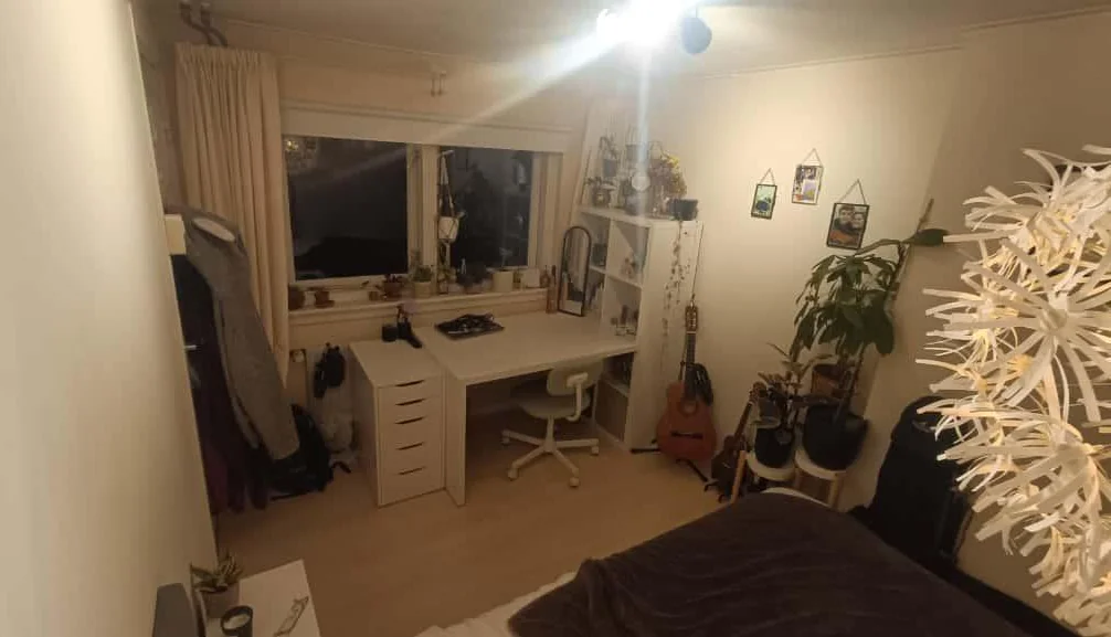 geblurde versie van de foto als achtergrond