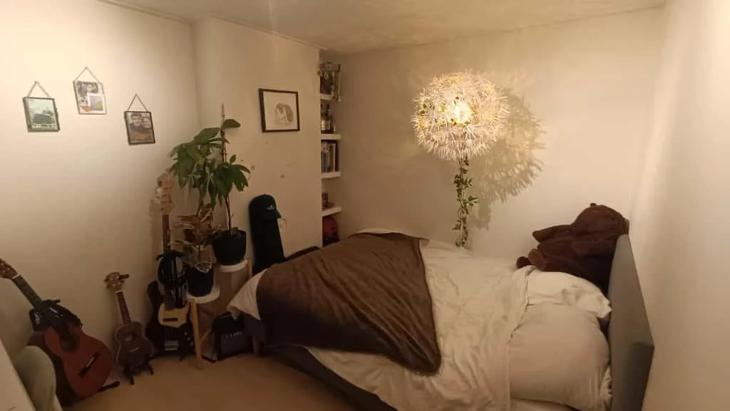 geblurde versie van de foto als achtergrond