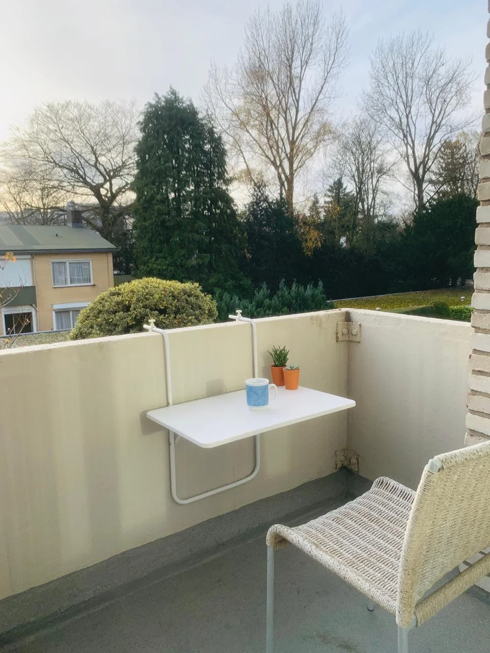 geblurde versie van de foto als achtergrond