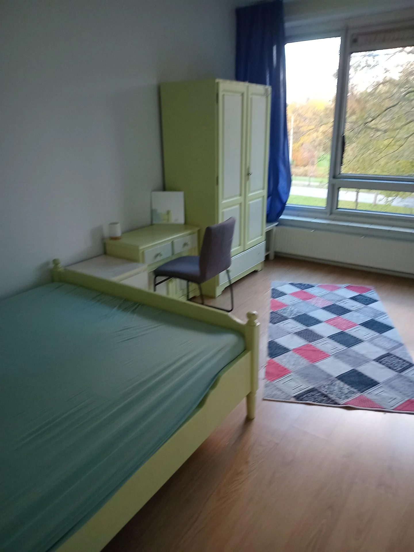 geblurde versie van de foto als achtergrond