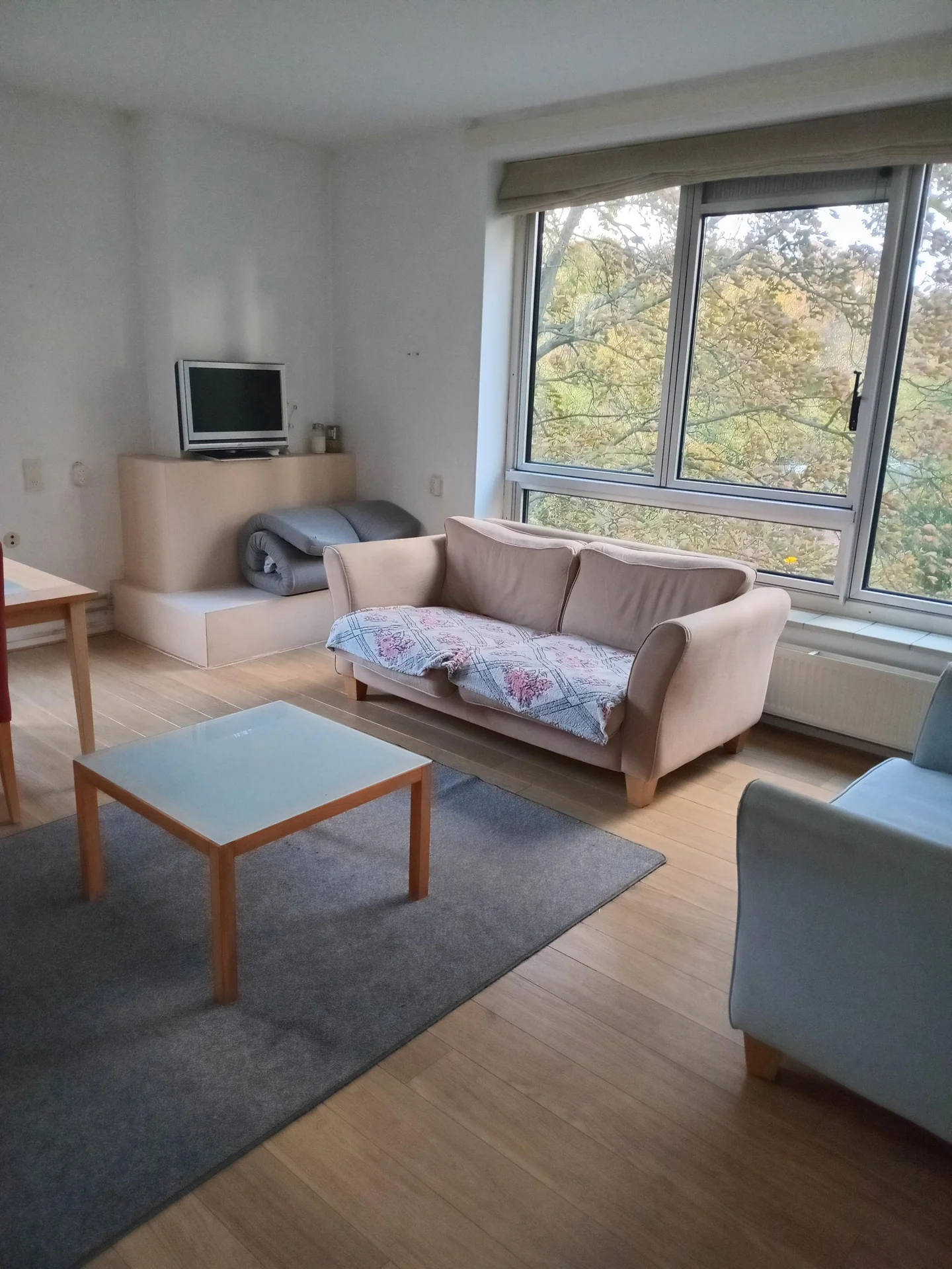 geblurde versie van de foto als achtergrond