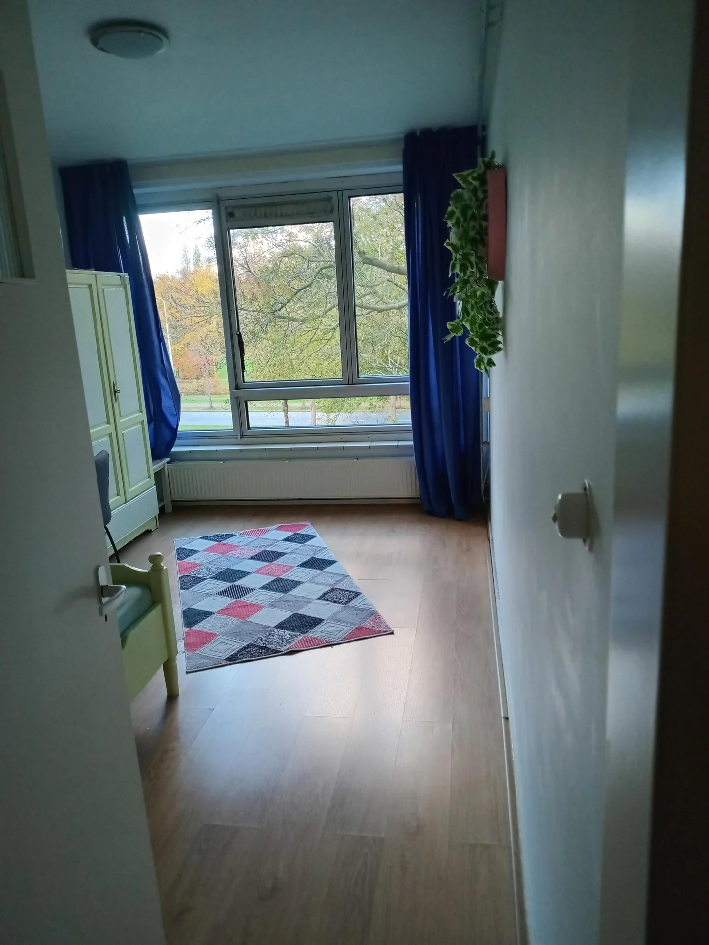 geblurde versie van de foto als achtergrond