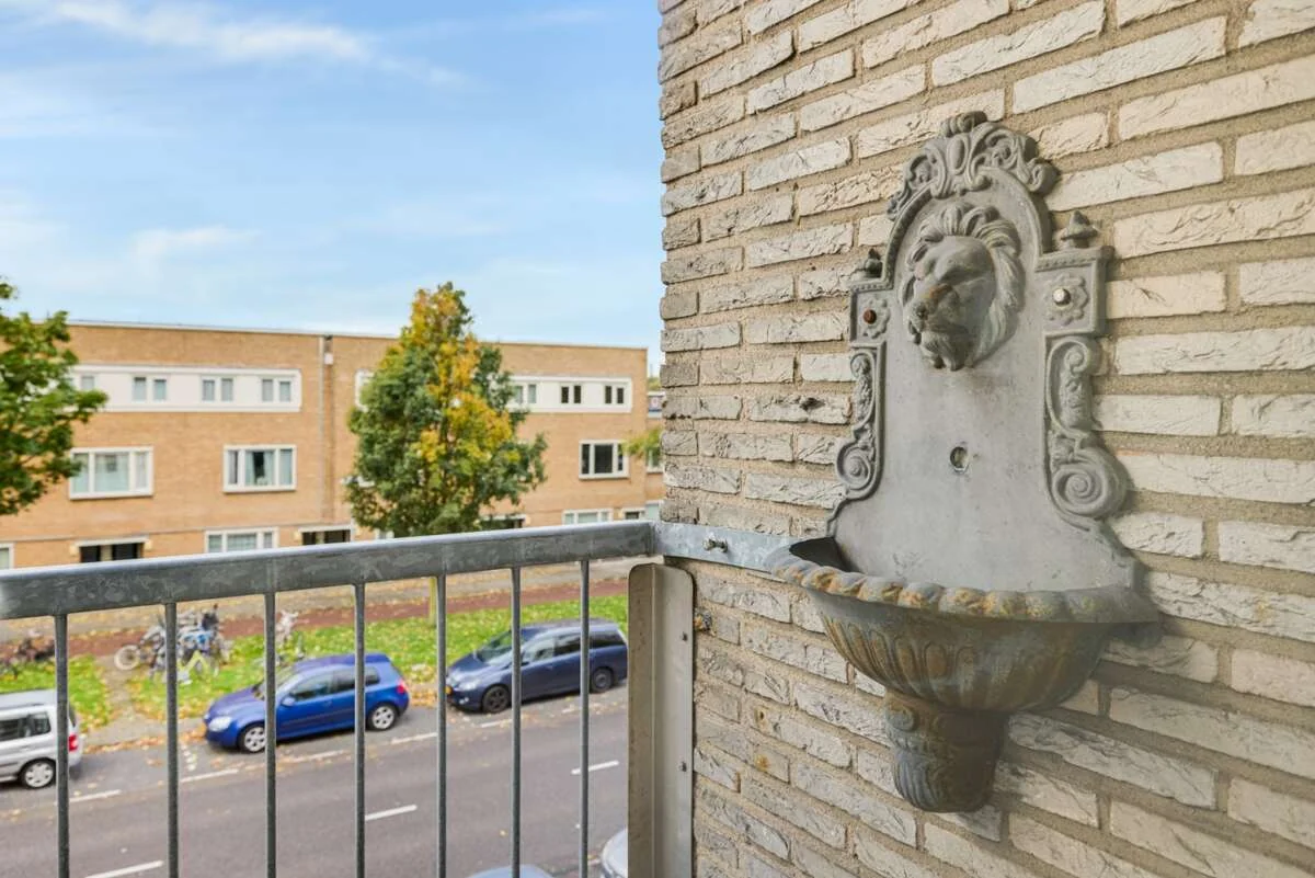 geblurde versie van de foto als achtergrond