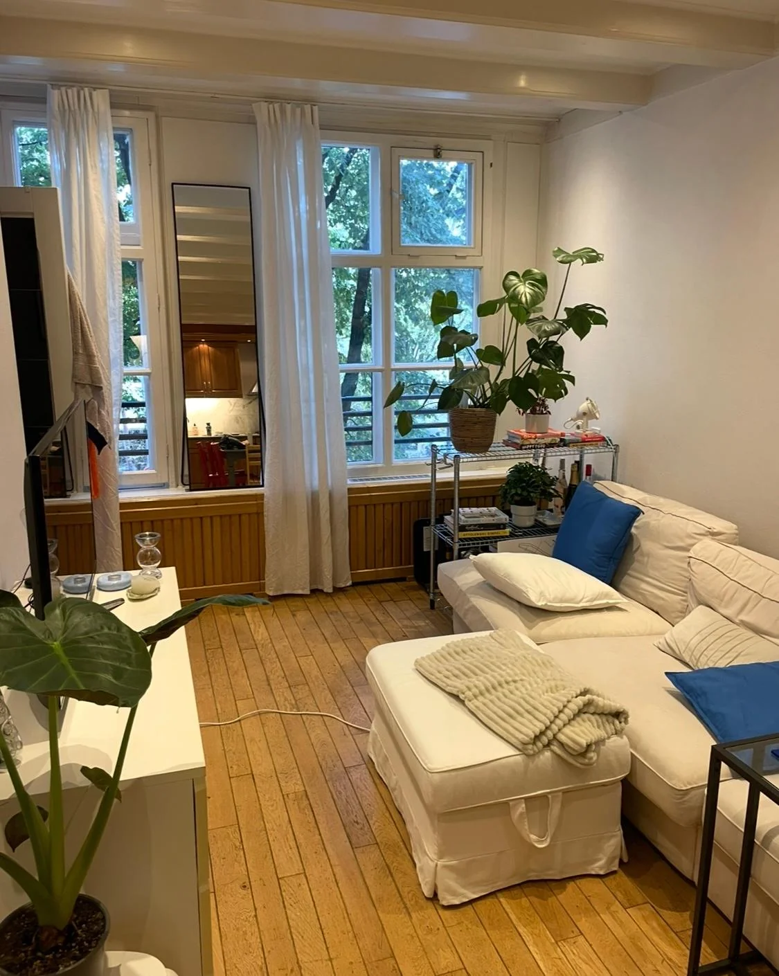 geblurde versie van de foto als achtergrond