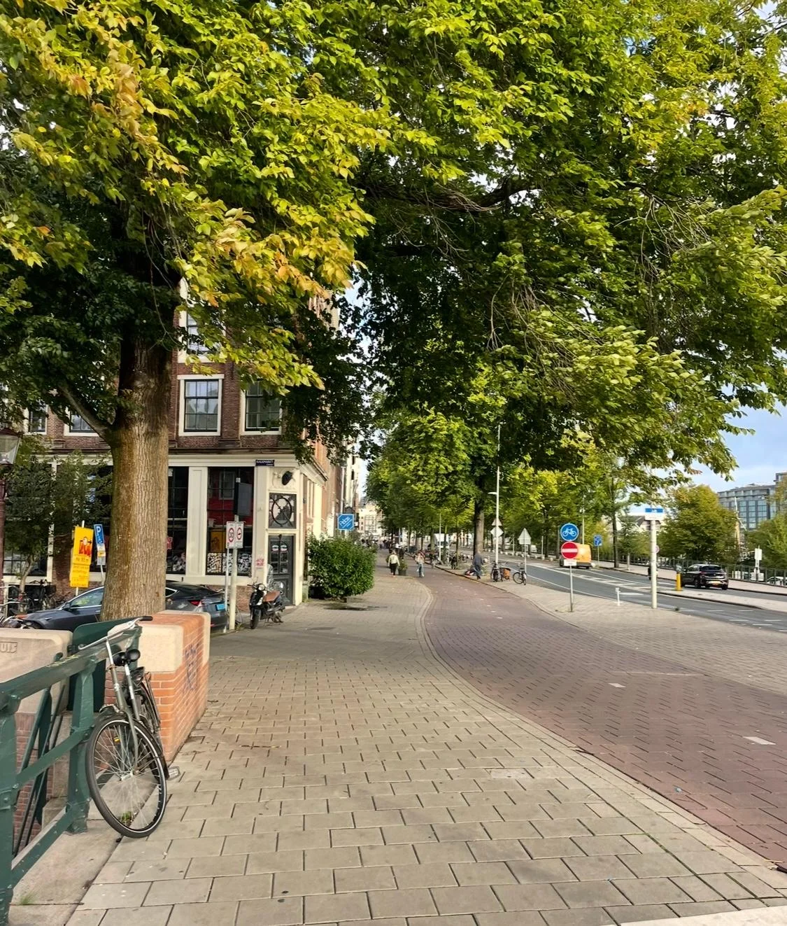 geblurde versie van de foto als achtergrond